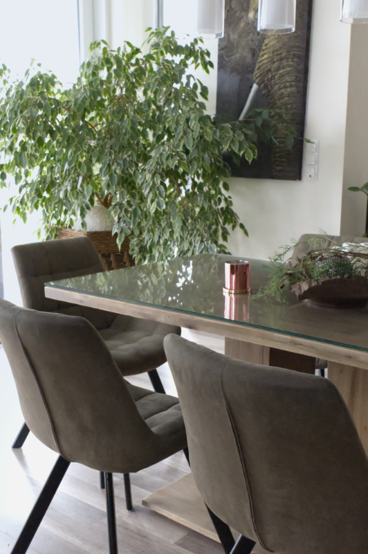 WG Zimmer Essbereich Pinkafeld